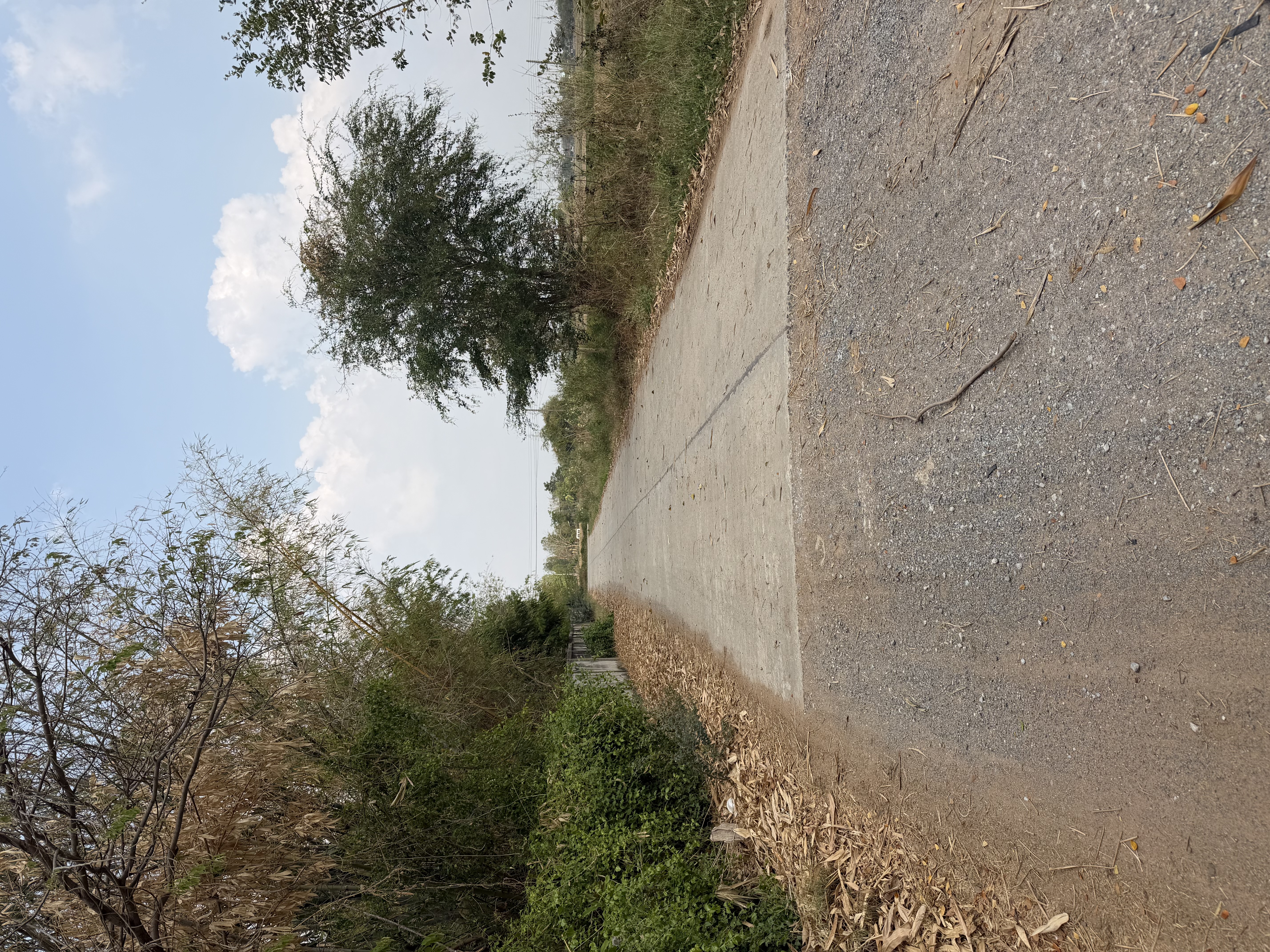 📍ขายที่นา 4ไร่ 3งาน 3.1ตารางวา หน้ากว้าง 40 เมตร น้ำไม่เคยท่วม มีไฟฟ้า น้ำปะปา  ติดถนน 6