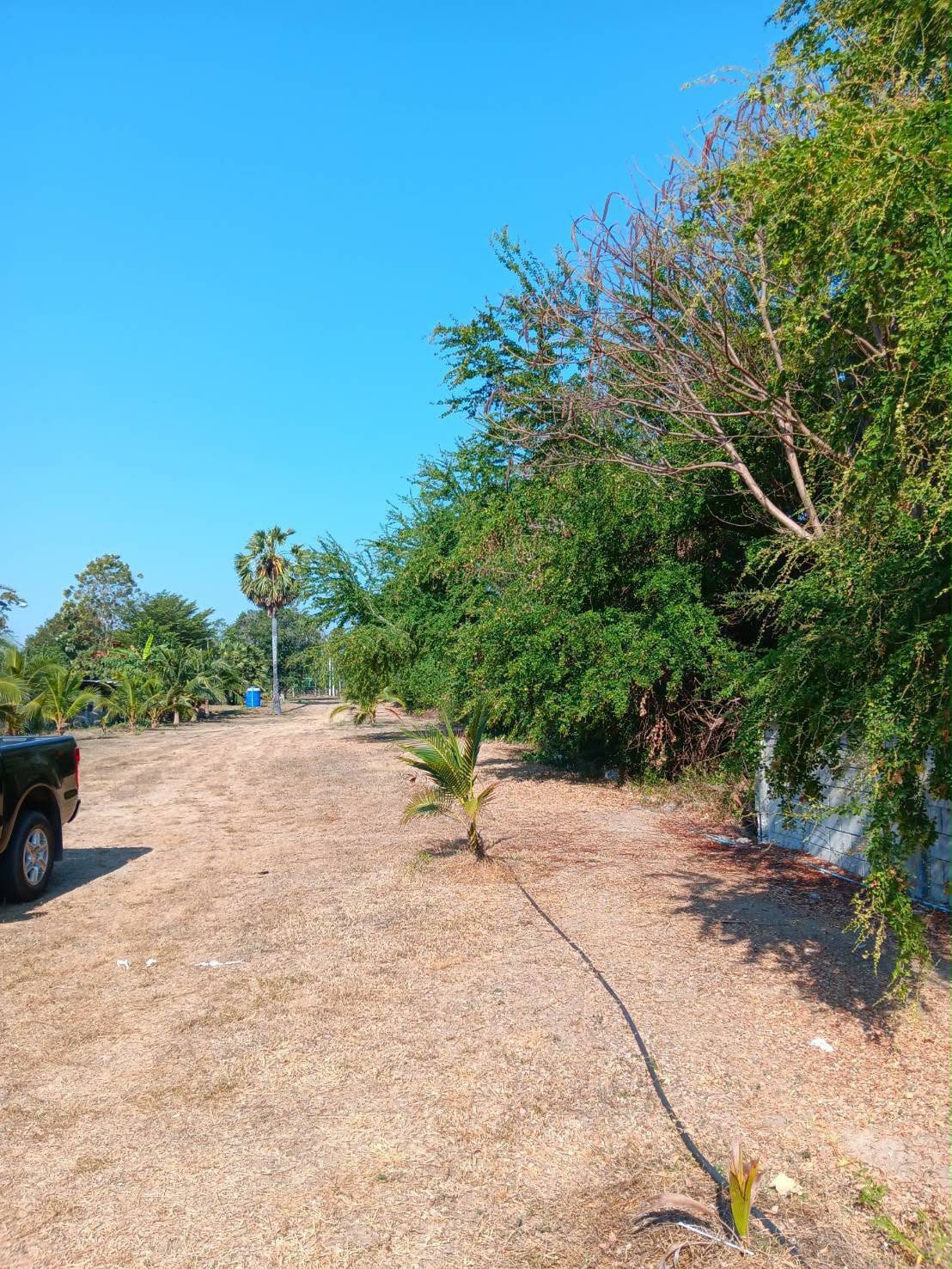 ที่ดินสวยติดทะเลชะอำ เหมาะสำหรับลงทุนสร้างโรงแรม รีสอร์ท Pool Villa คาเฟ่ริมทะเล หรือโครงการอสังหาริมทรัพย์ระดับพรีเมียม 4