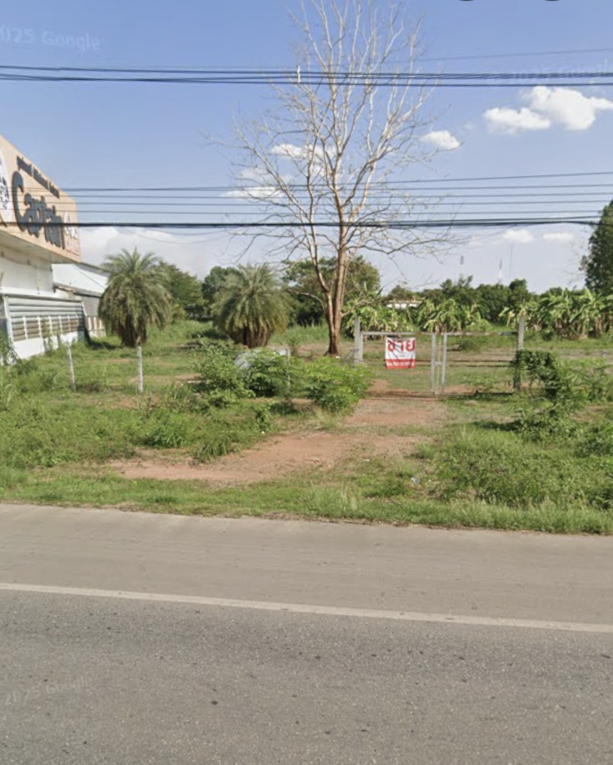 ที่ดิน พื้นที่ 13 ไร่ จังหวัดกำแพงเพชร 6