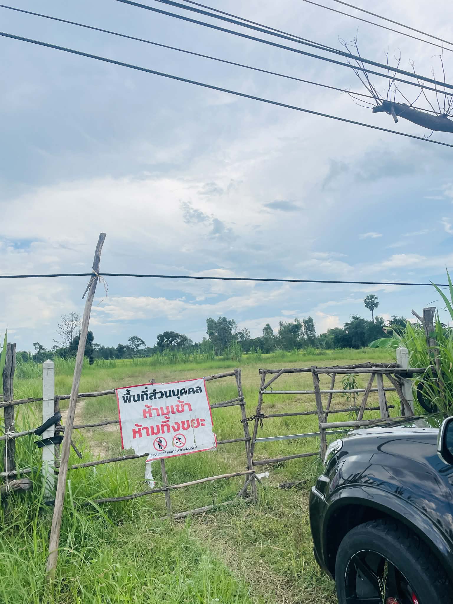 ขายที่ดินติดถนน 1 ไร่ 3 งาน 65 ตารางวา  จังหวัดศรีสะเกษ 6