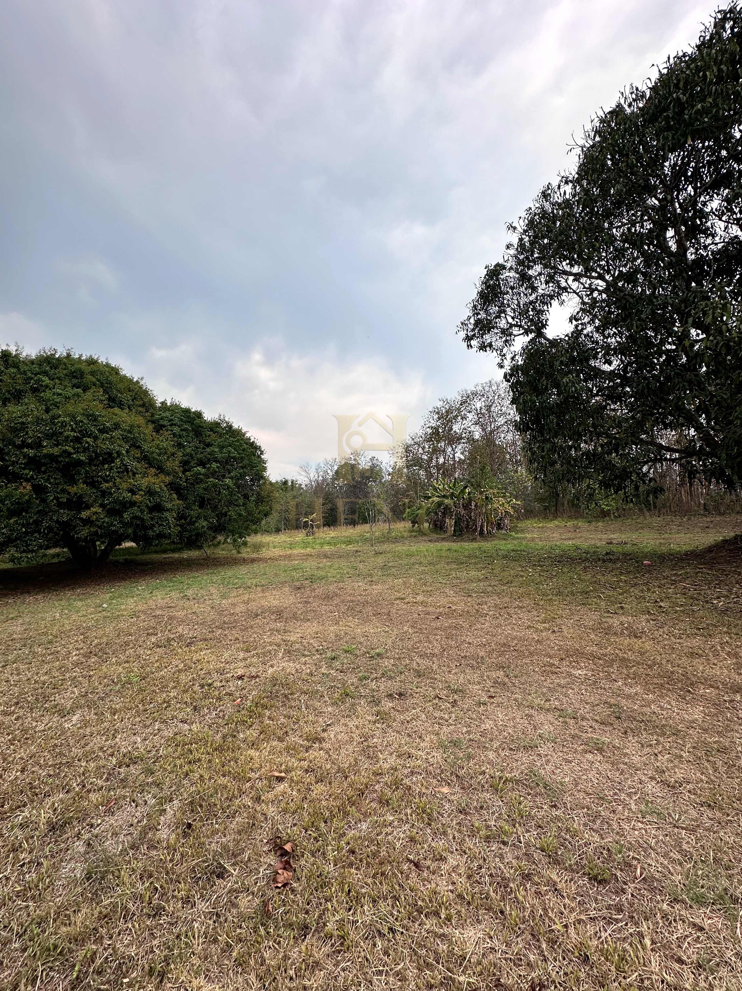 ขายที่ดินเปล่าพร้อมโกดังและบ้าน บ้านจำปู ต.เจริญเมือง อ.พาน จ.เชียงราย 57120 7