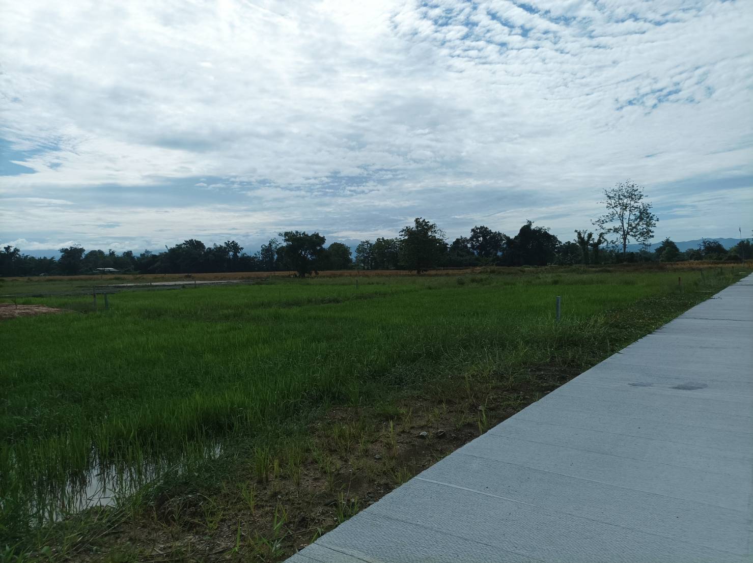 ขายที่ดินเปล่าพร้อมถม ต.สง่าบ้าน อ.ดอยสะเก็ด จ.เชียงใหม่ 7