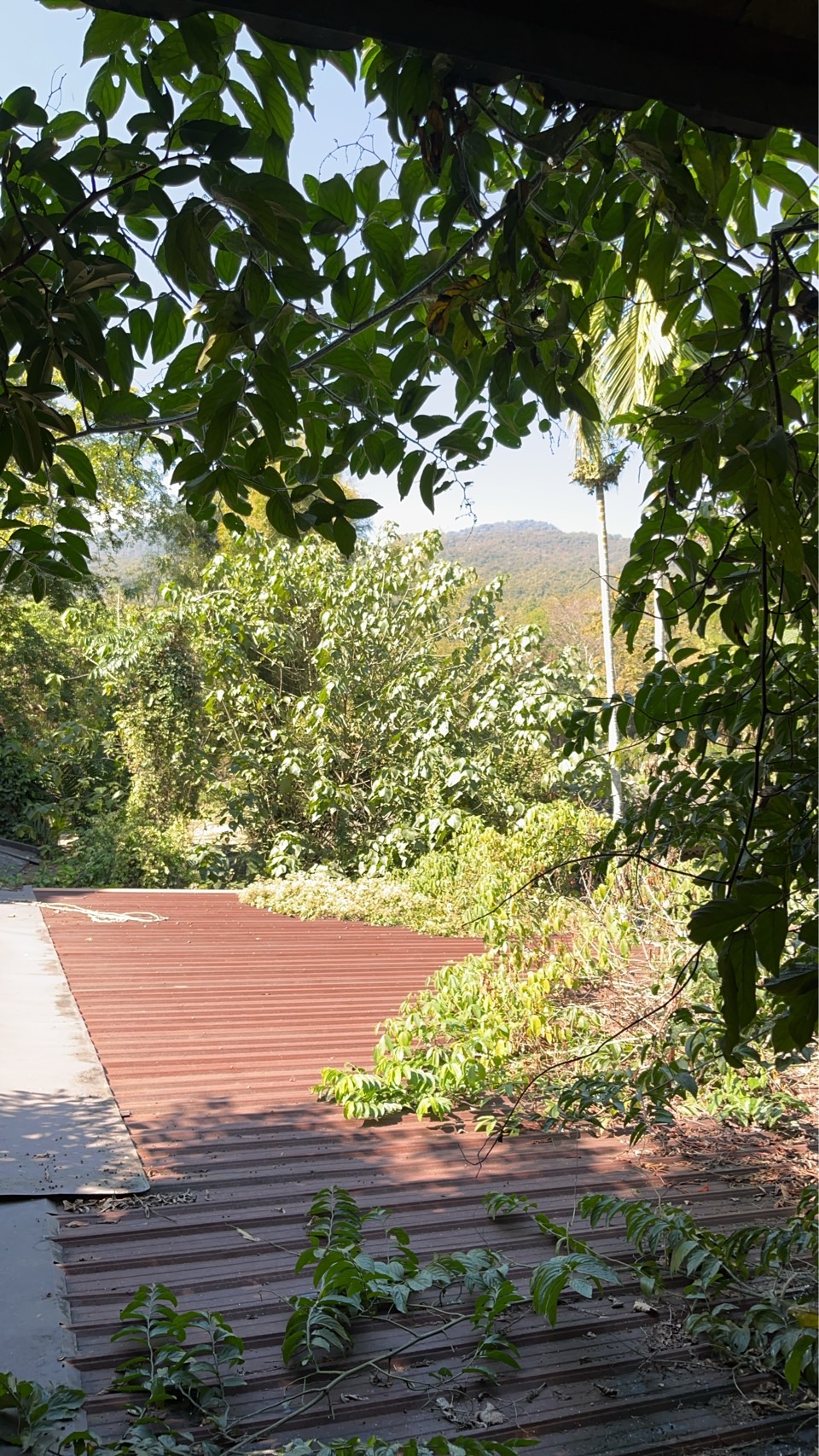 ที่ดินพร้อมบ้าน จำนวน 1 ไร่ มี 2 โฉนด 13