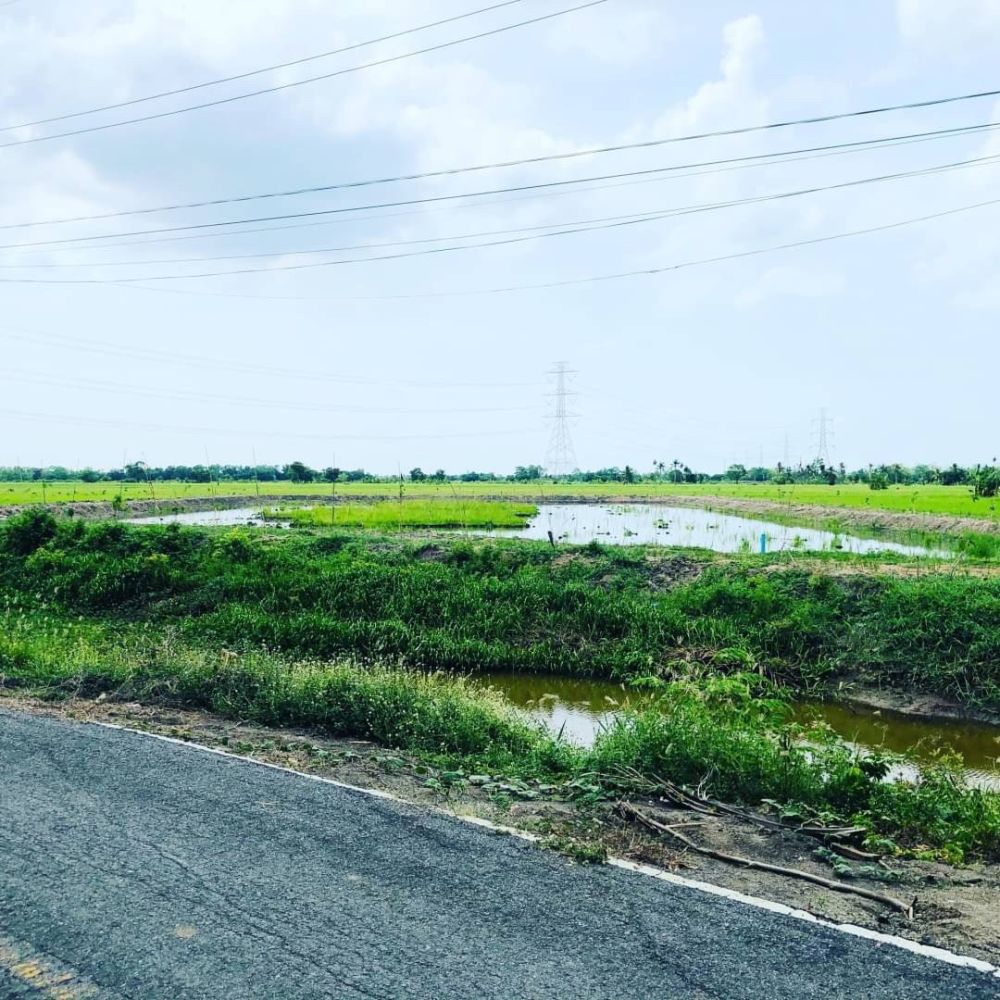 ขายที่ดินแปลงสวย มิตรไมตรี 6 หนองจอก มีนบุรี เหมาะทำโคกหนองนา 3