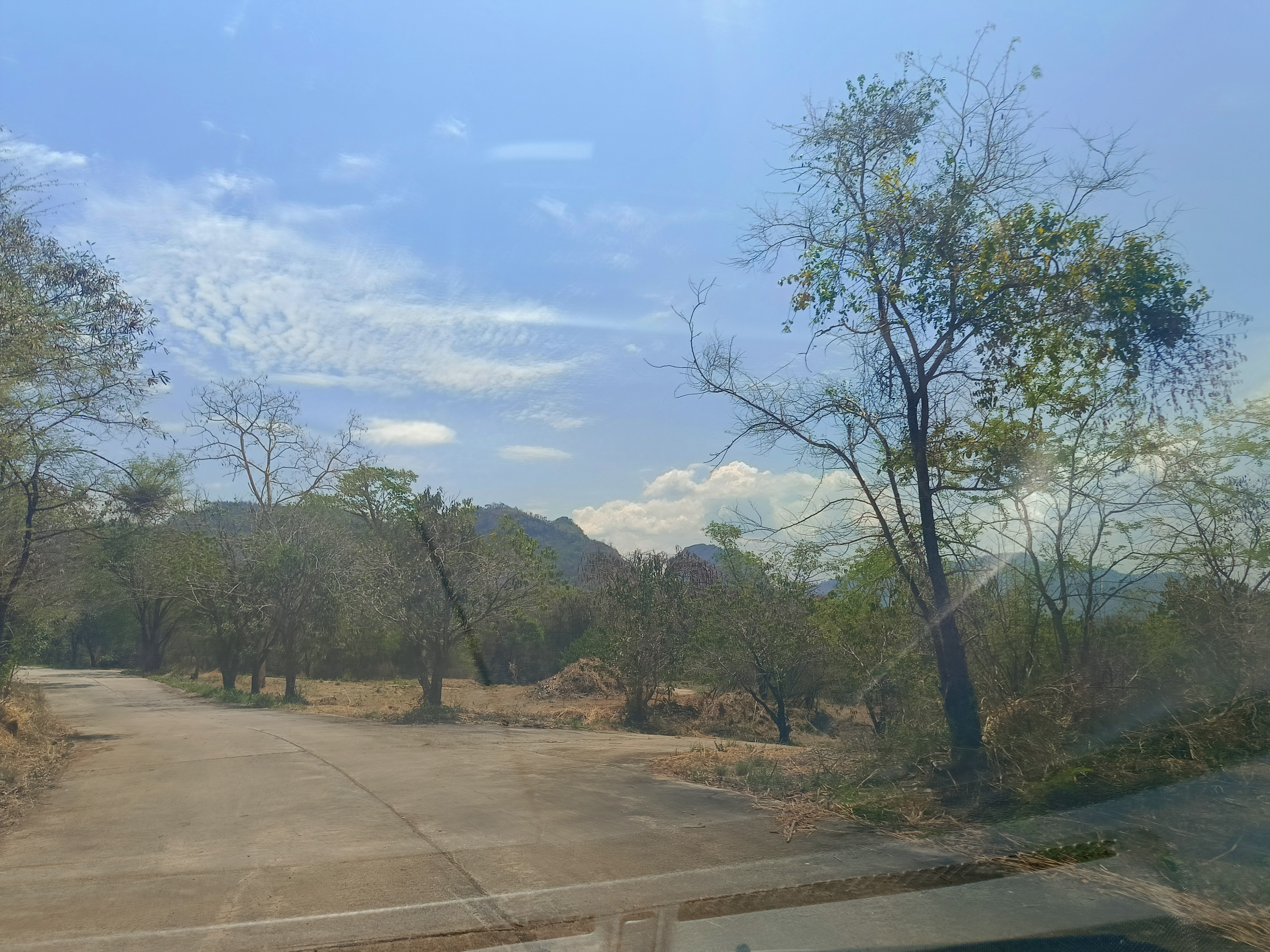 ขายที่ดิน อ.มวกเหล็ก 296 ตร.วา 4