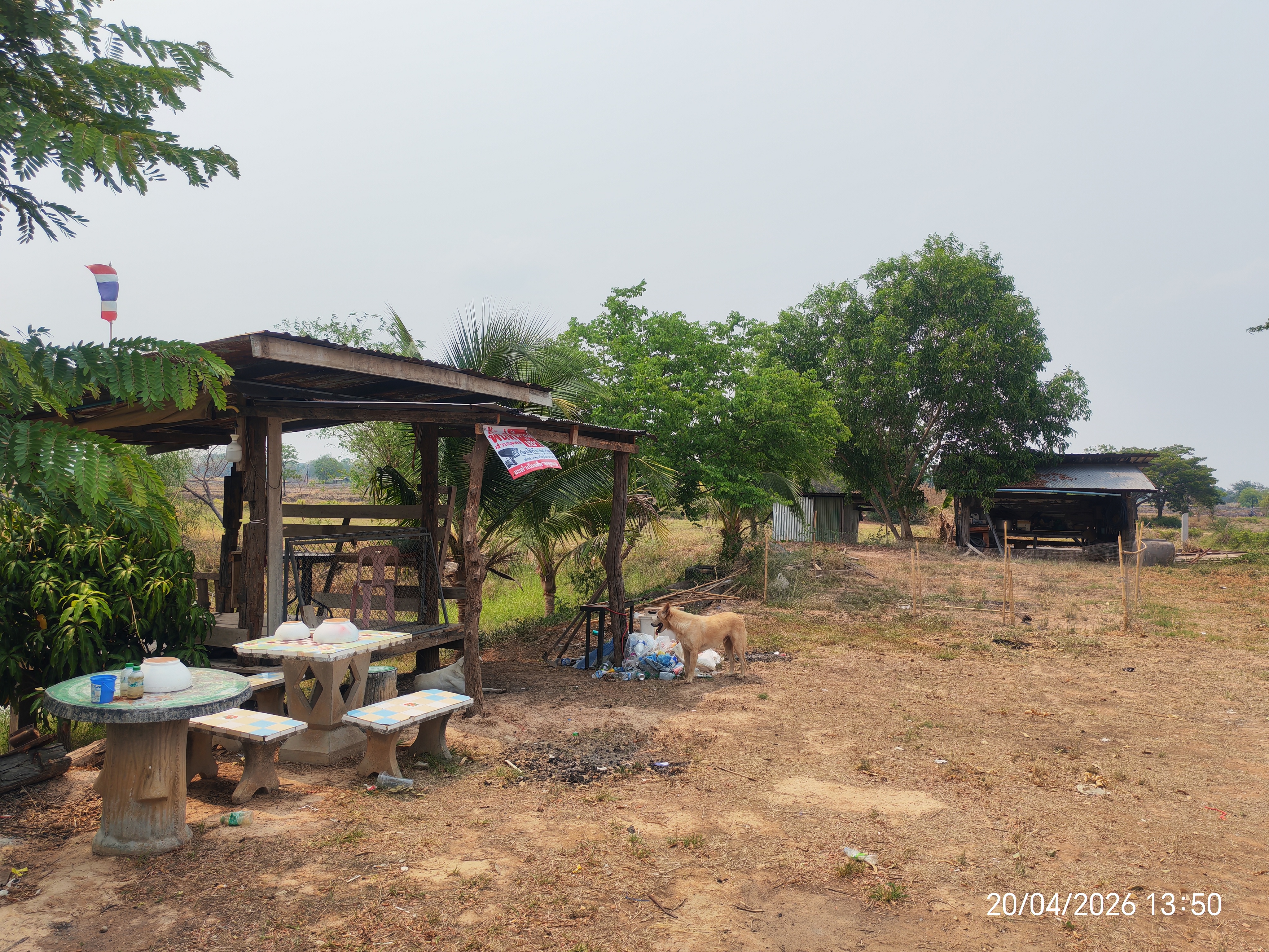 ​🏠 [ประกาศขาย] บ้านสวนโมเดิร์น พร้อมที่ดินผืนใหญ่ 11 ไร่เศษ 🌳 ​สัมผัสชีวิตใกล้ชิดธรรมชาติ บนพื้นที่ส่วนตัวที่ตอบโจทย์ทุกการใช้ชีวิต 🍃 19