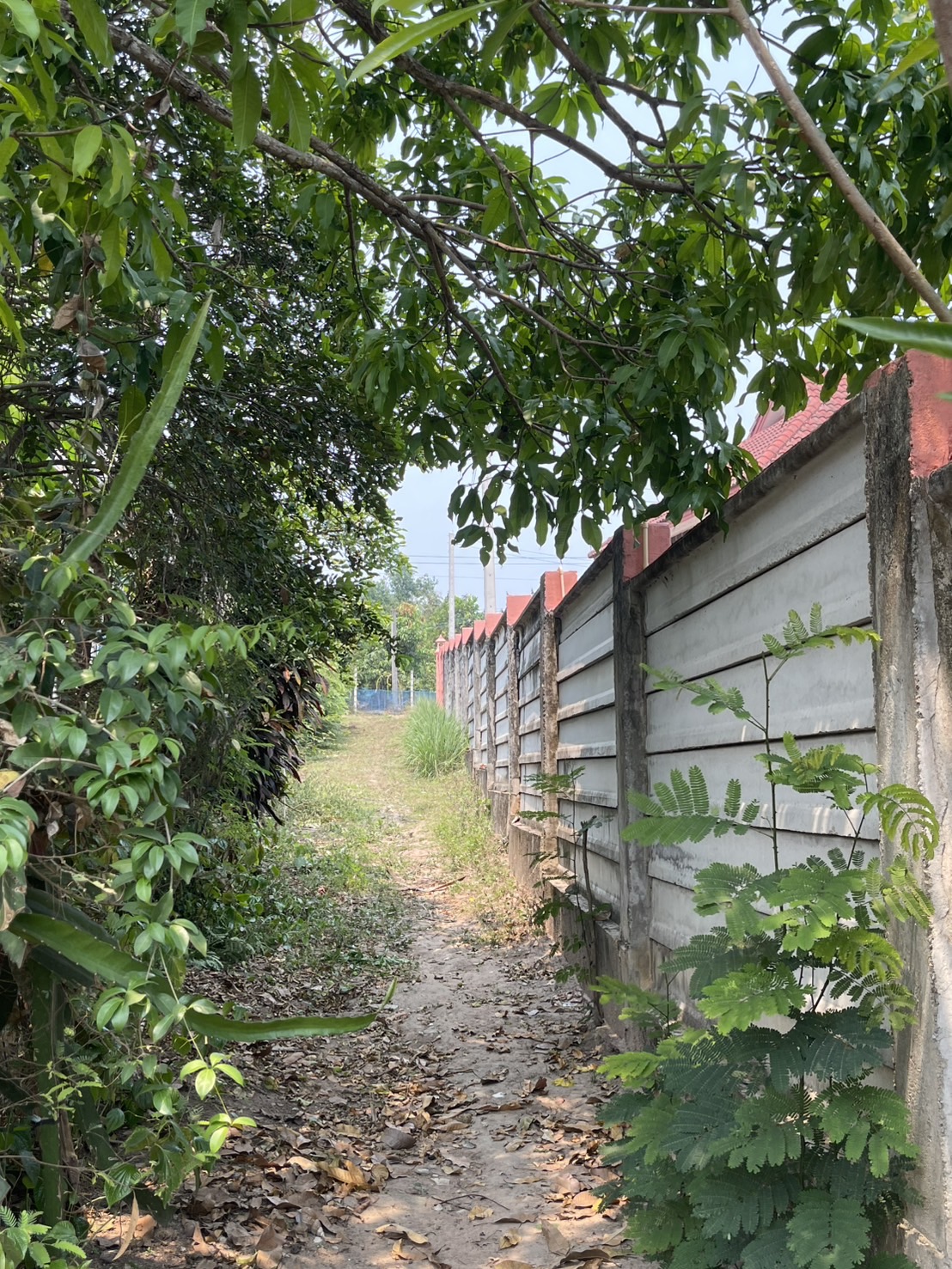 ขายบ้านพร้อมที่ดิน บนทำเลใกล้เมือง มีทางสาธารณประโยชน์ วิวเขา 4