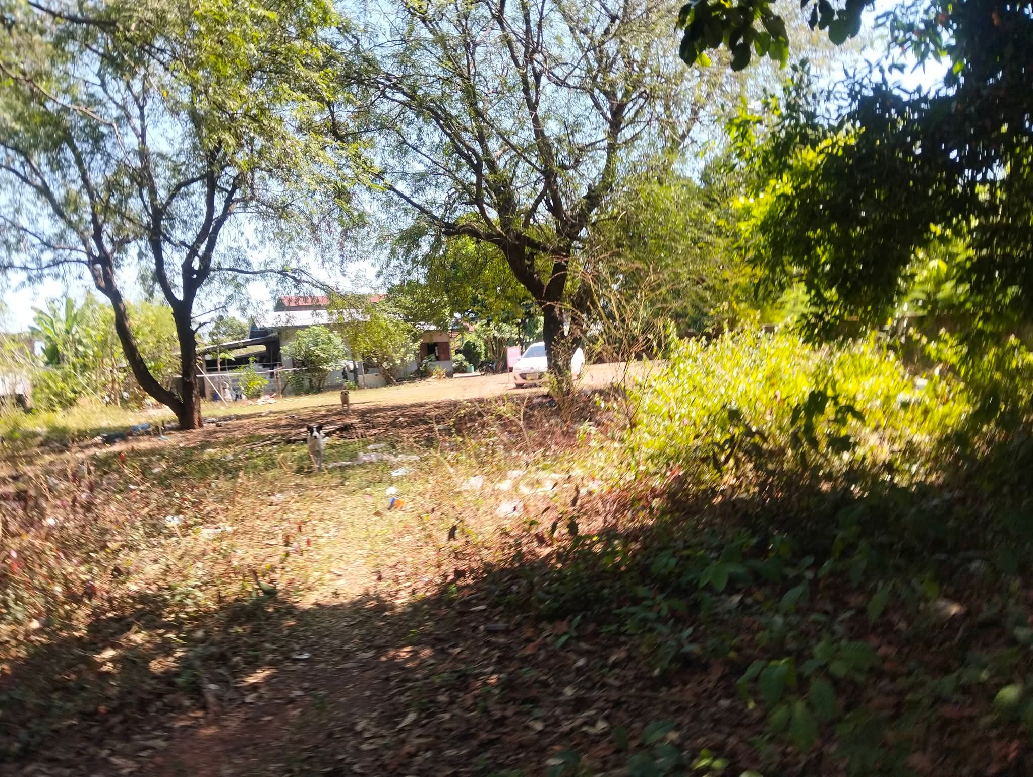 ที่ดิน 1 ไร่ 28 ตร.วบ้านนาสมดีอำเภอเมืองนครพนม 9