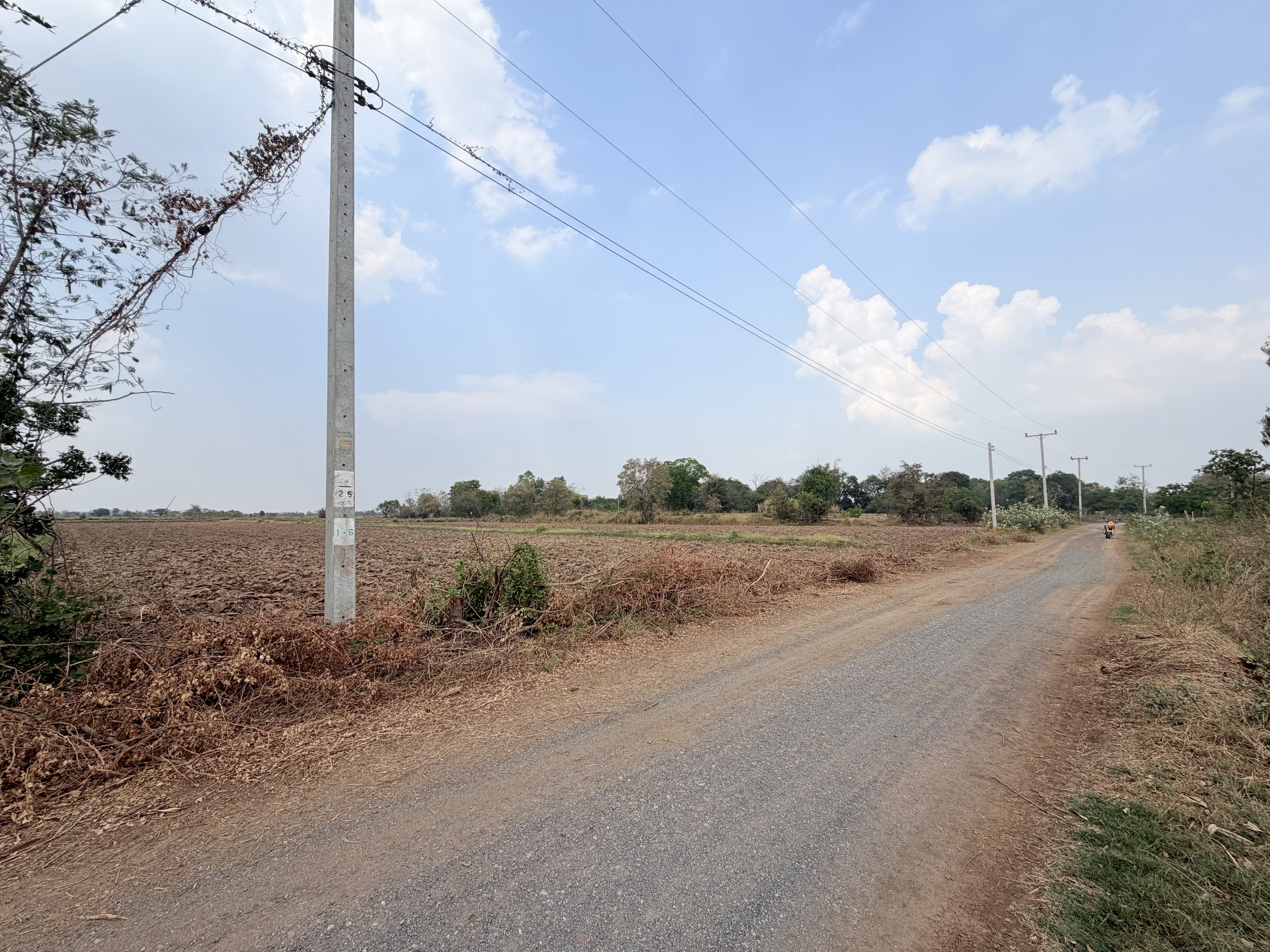 📍ขายที่นา 4ไร่ 3งาน 3.1ตารางวา หน้ากว้าง 40 เมตร น้ำไม่เคยท่วม มีไฟฟ้า น้ำปะปา  ติดถนน 4