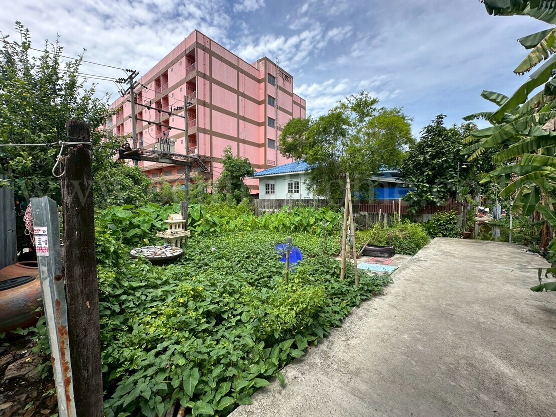 ที่ดินเปล่า 59 ตร.วา ซอยพิบูลสงคราม 22 - ซอยวัดกำแพง ราคาถูก 3