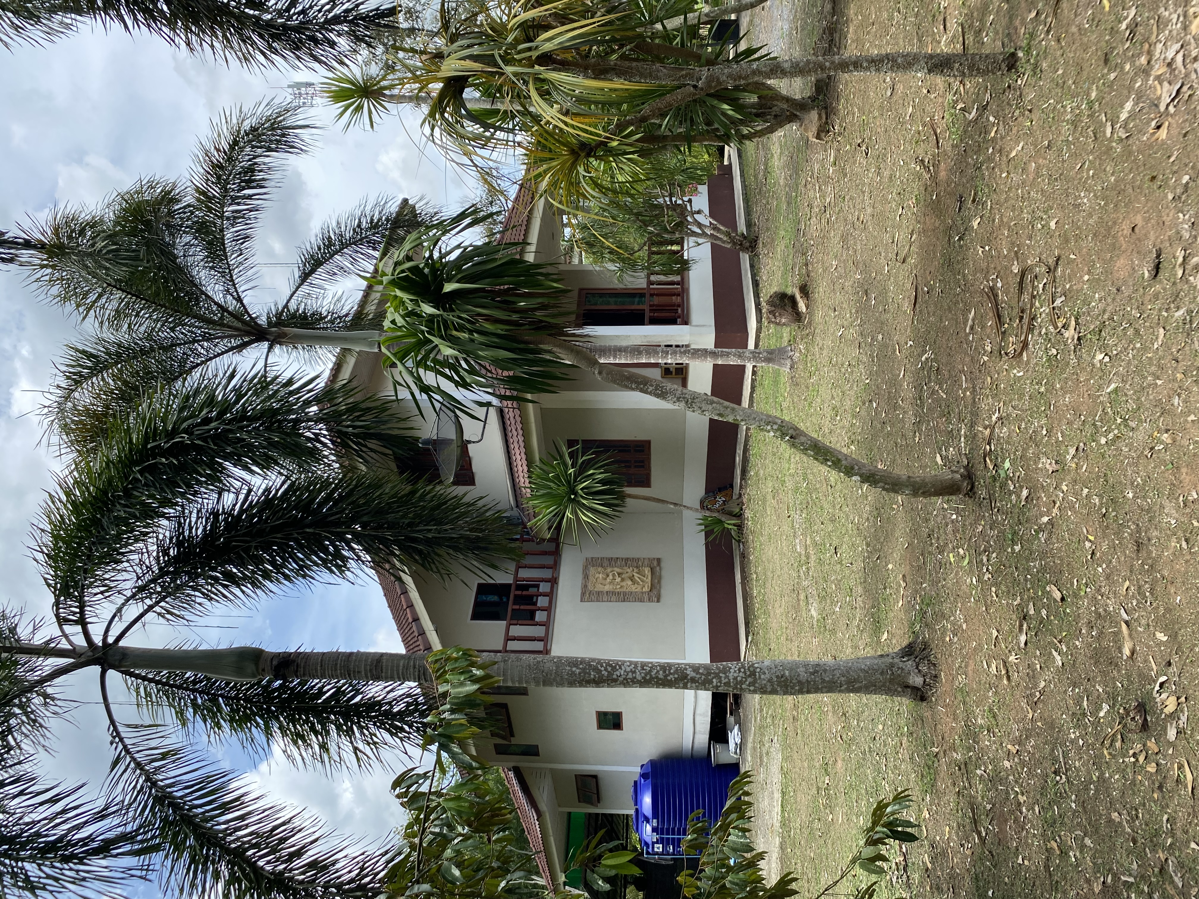 บ้านเดี่ยวพร้อมที่ดิน 7