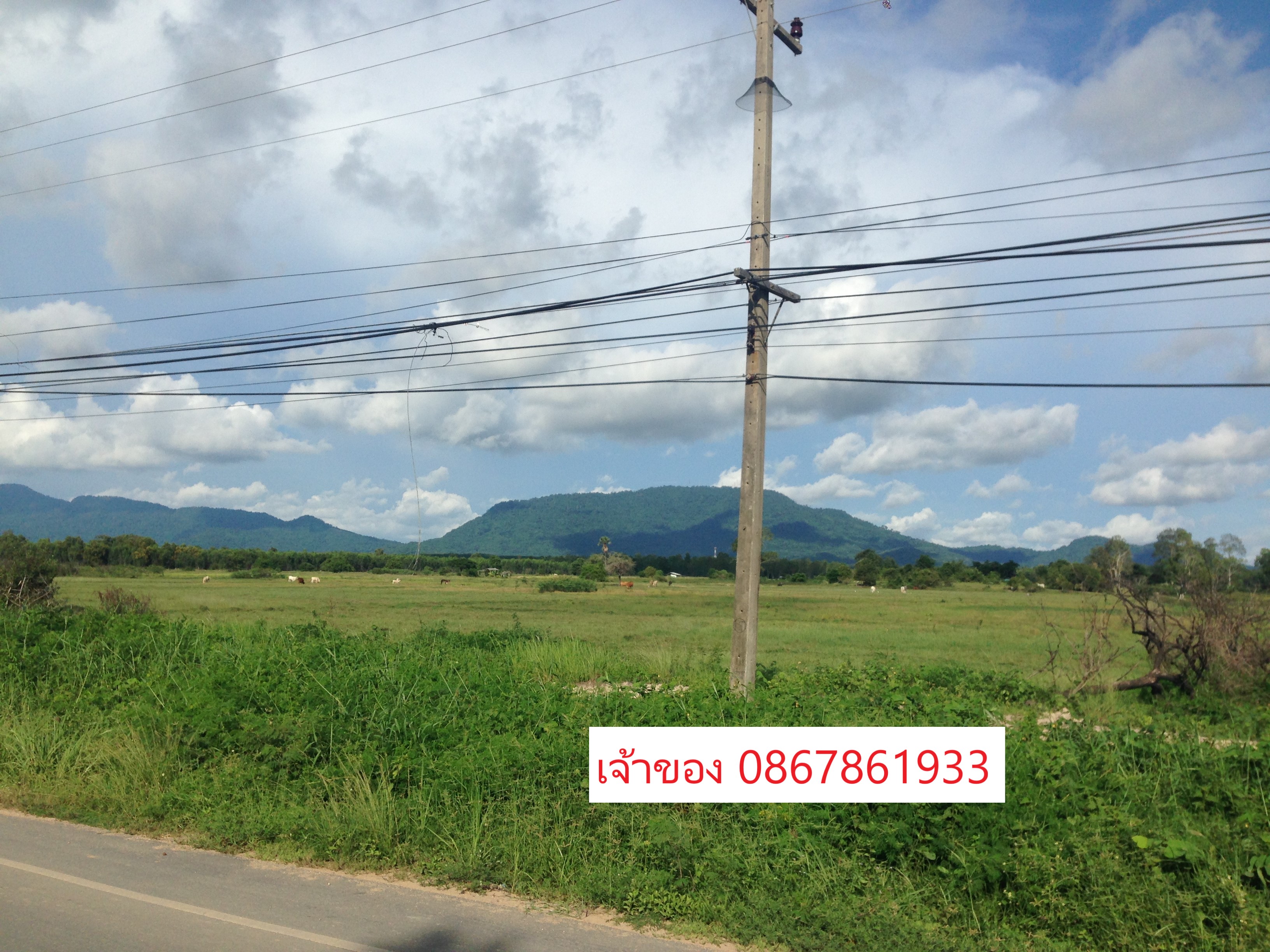 🌳🔥 ขายที่ดินแปลงใหญ่ 31 ไร่ ใกล้สุขุมวิท เพียง 1.3 กม. ต. ตะพง อ.เมืองระยอง 🔥🌳  หน้ากว้าง 280 เมตร ติดถนนใหญ่ เหมาะทำหมู่บ้านจัดสรร 7