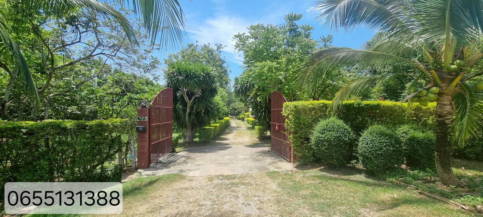 ที่ดินสวยปากช่อง 20 ไร่ พร้อมบ้านพัก ราคา 66 ล้านบาท