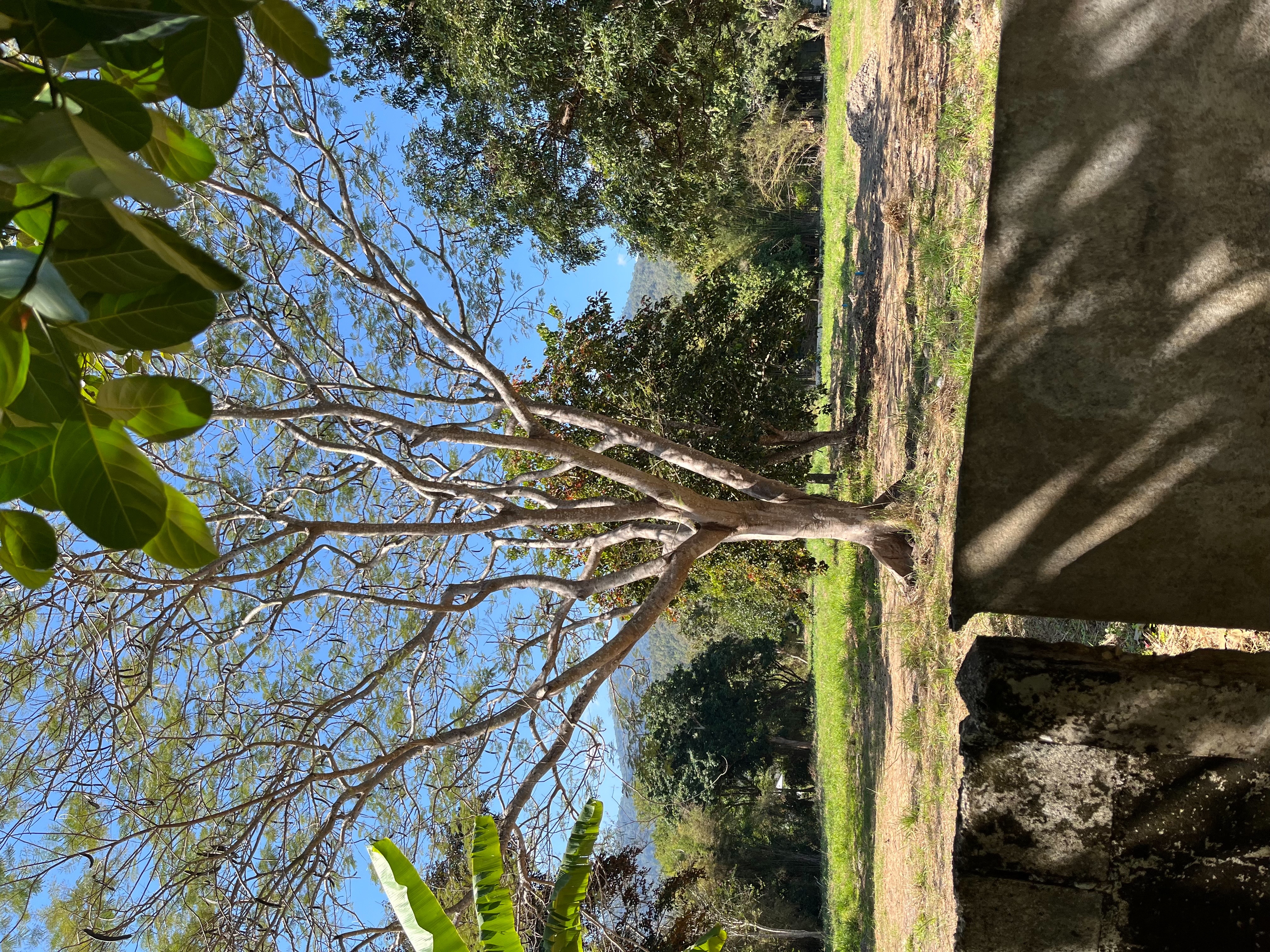 ที่ดินพร้อมบ้าน จำนวน 1 ไร่ มี 2 โฉนด 7