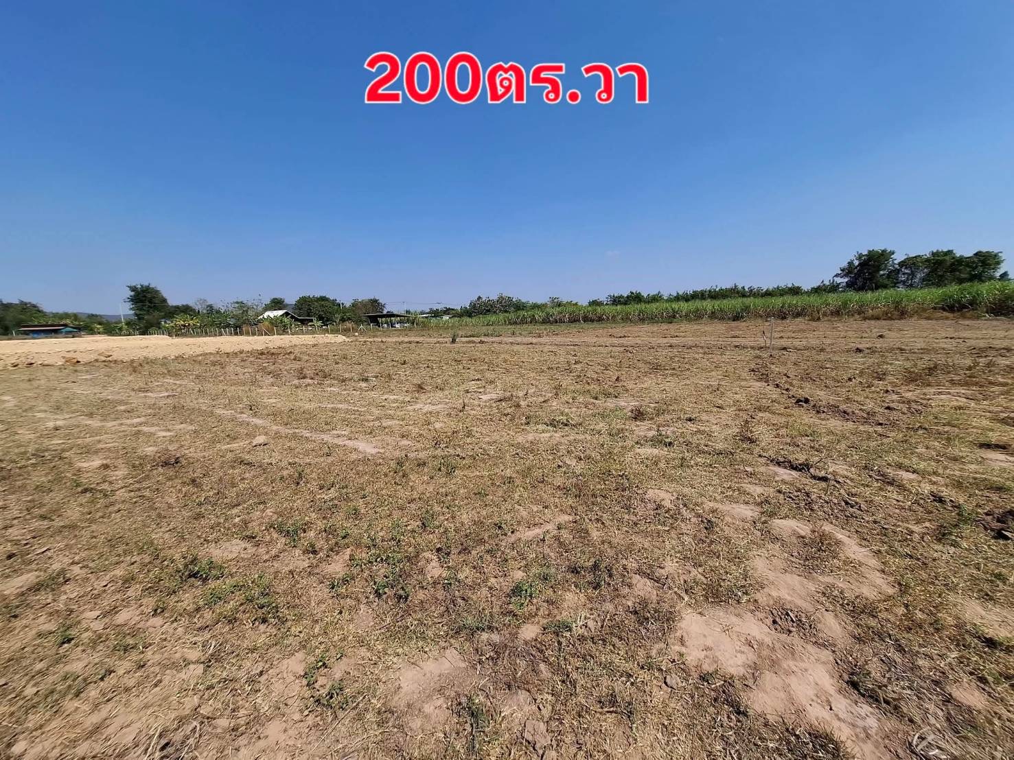 ขายที่ดินราคาถูกราชบุรี200ตร.วา อยู่ในเขตเทศบาลตำบลหินกองราชบุรี ไฟฟ้าประปาอินเตอร์เน็ตถึงราคาเพียง450,000บาท 5