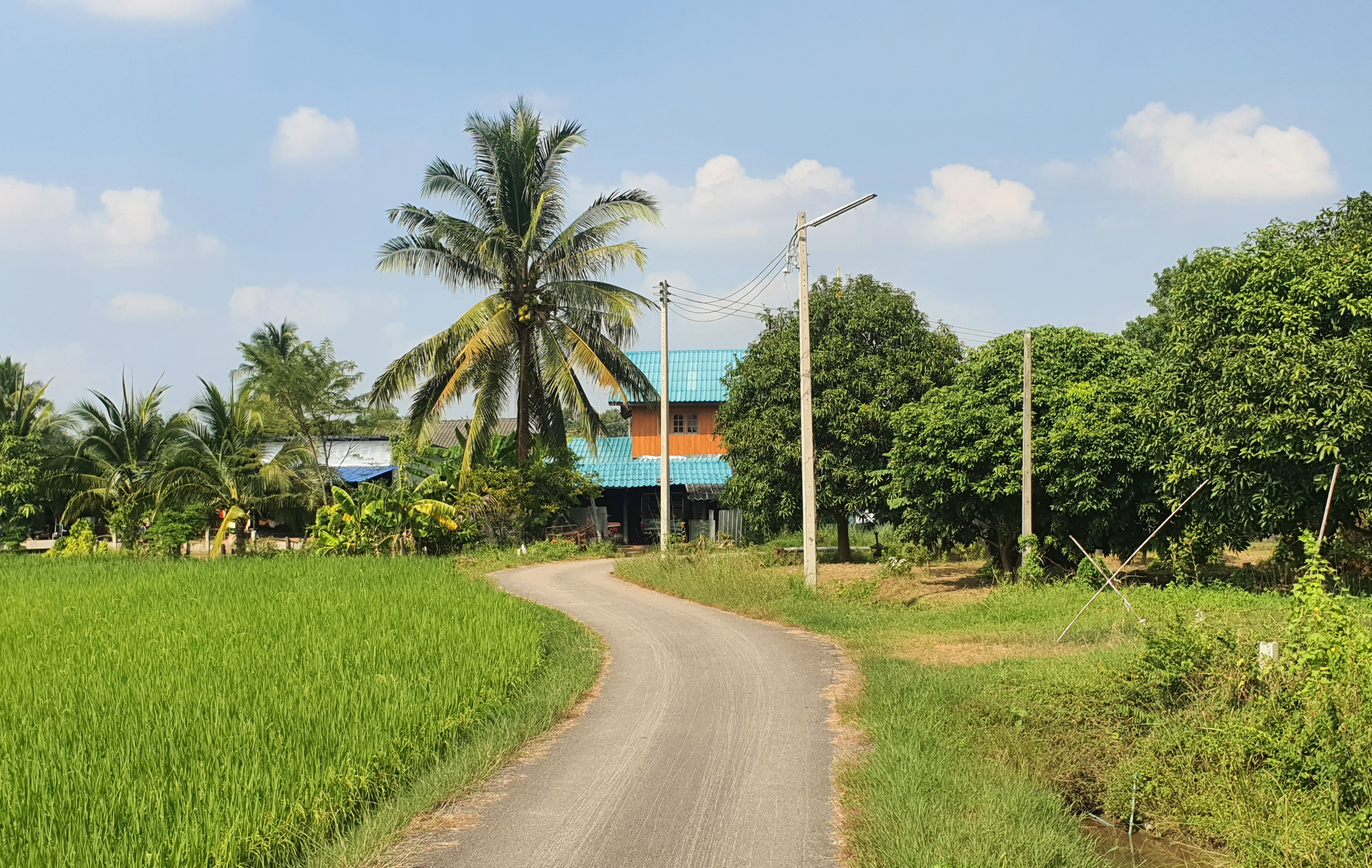 ที่ดินเปล่าเมืองราชบุรี วิววัดหนองหอย ติดลาดยาง ฝนชุมชน 5