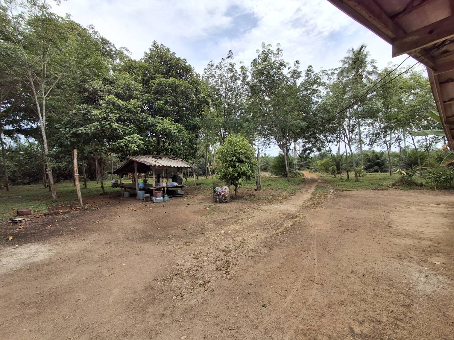 ที่ดิน 8ไร่ 2 งาน อ.หาดสำราญ จ.ตรัง 4
