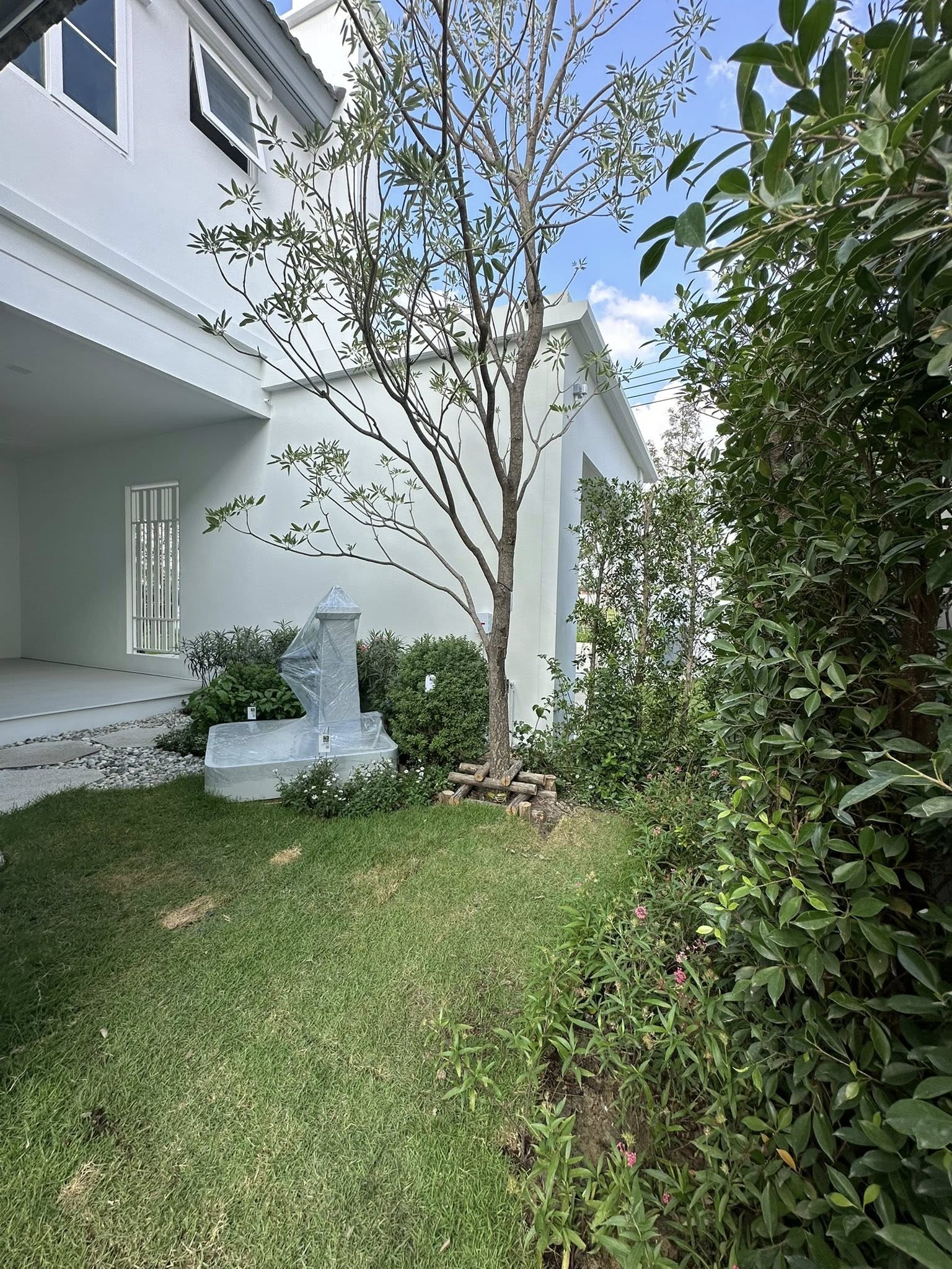 ให้เช่าบ้านเดี่ยว 2ชั้น โครงการ Villagio3 (New project)  ไซส์ใหญ่สุดในโครงการ 4