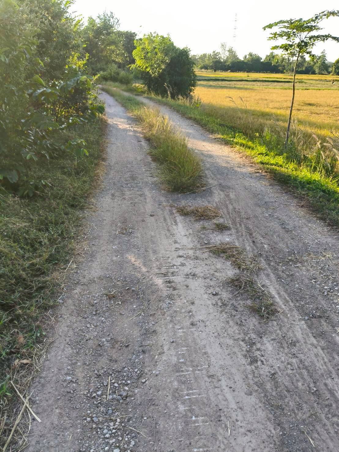 ที่เปล่า อ.เขาย้อย จ.เพชรบุรี 4