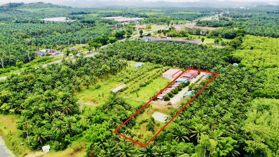 ขายกิจการ รีสอร์ท+บ้าน ท่าแซะ ชุมพร  5