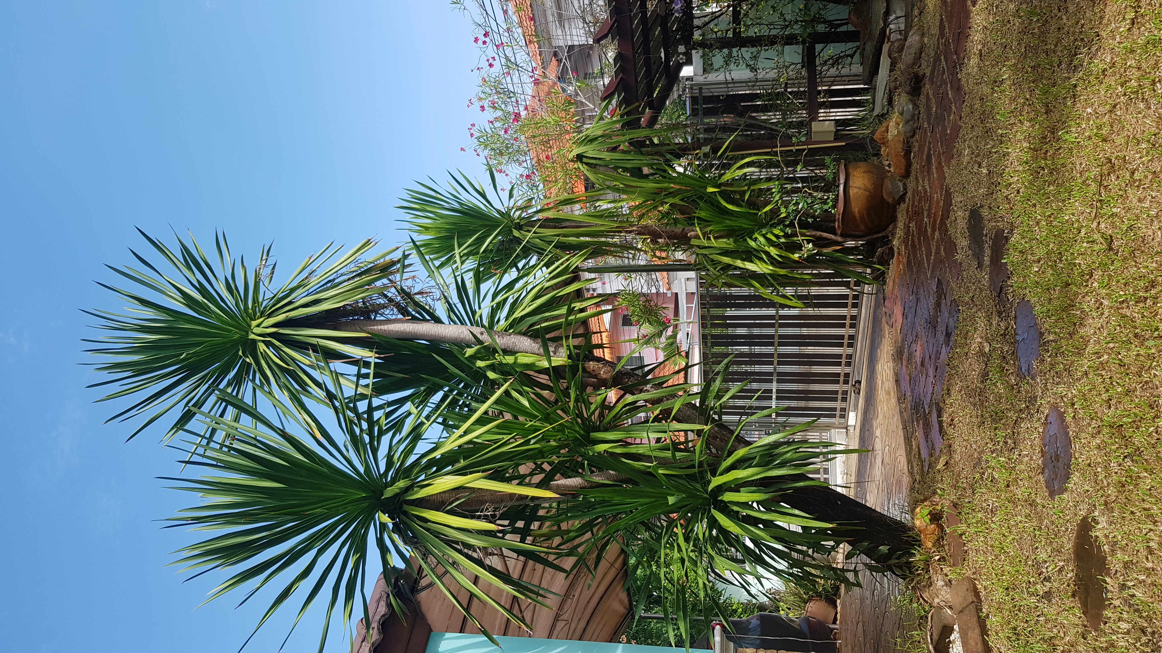 บ้านเดี่ยว2ชั้น​ หลังมุม​ 100ตร.ว. 3