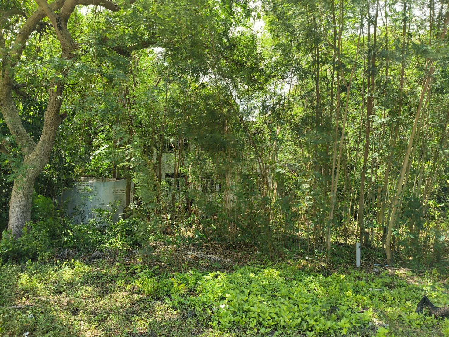 ที่ดิน จ.ฉะเชิงเทรา เหมาะทำห้องพักพนักงาน 10