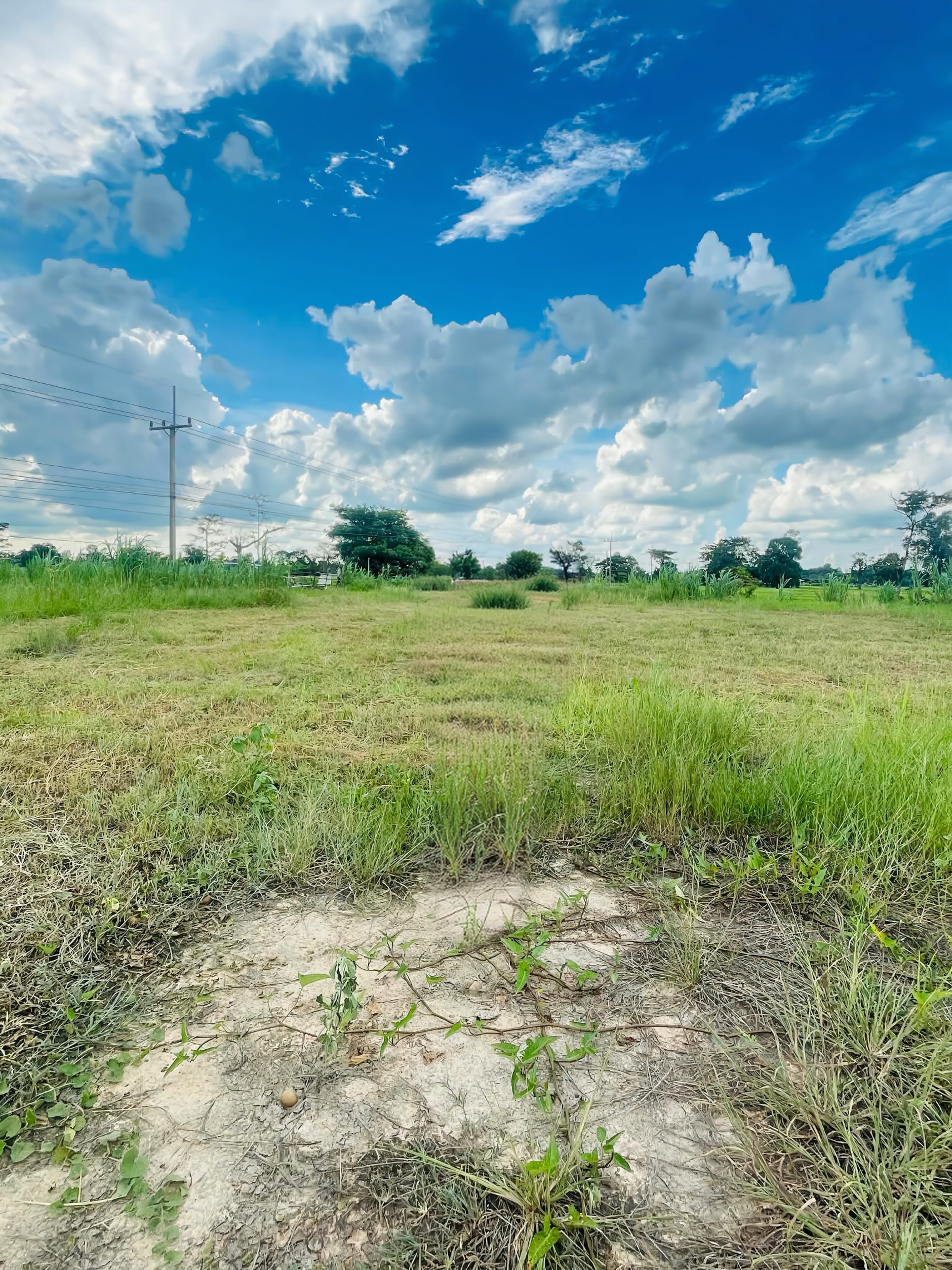 ขายที่ดินติดถนน 1 ไร่ 3 งาน 65 ตารางวา  จังหวัดศรีสะเกษ 2