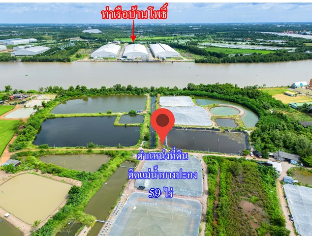ขายที่ดินติดแม่น้ำบางปะกง 59 ไร่ ตรงข้ามท่าเรือบ้านโพธิ์ ต.บ้านโพธิ์ อ.บ้านโพธิ์ จ.ฉะเชิงเทรา 5