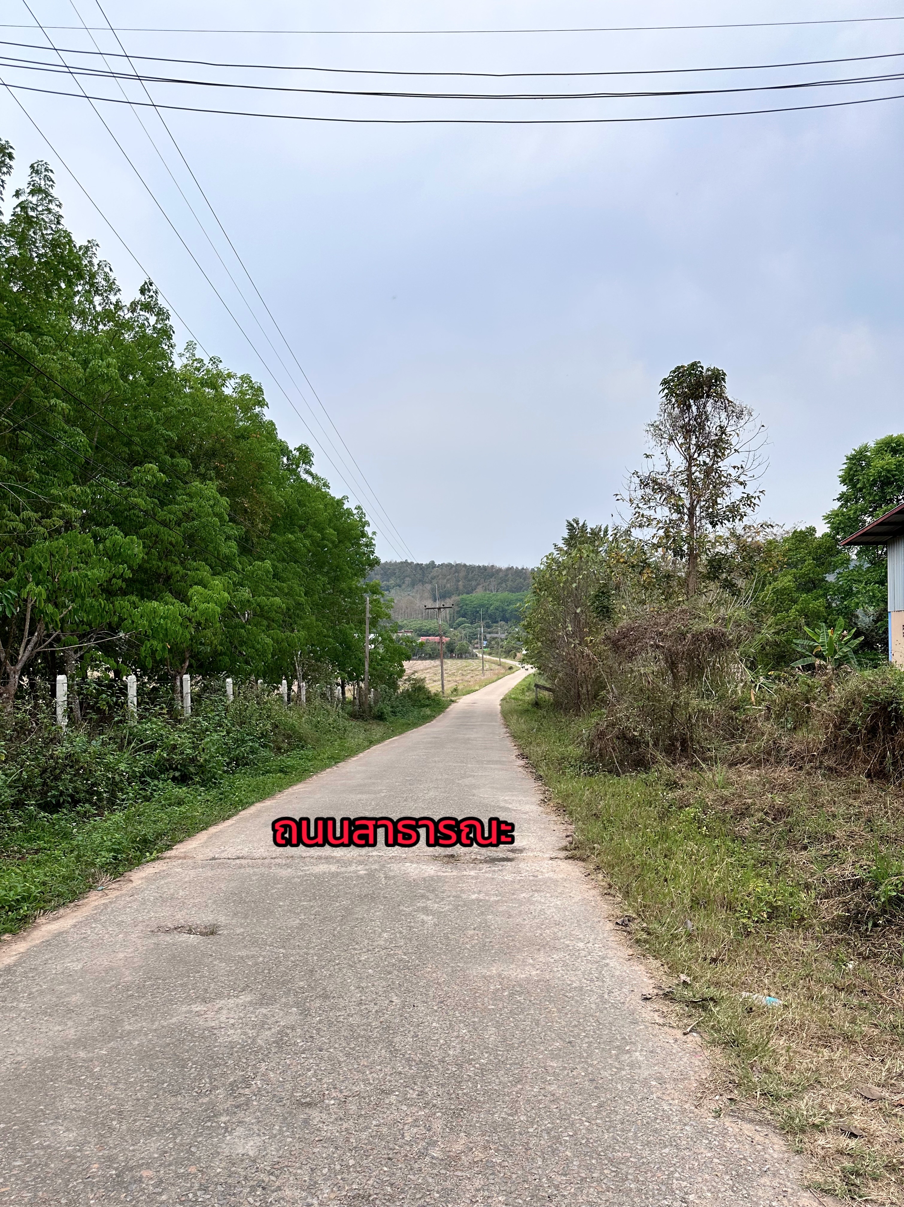 ขายที่ดินเปล่าพร้อมโกดังและบ้าน บ้านจำปู ต.เจริญเมือง อ.พาน จ.เชียงราย 57120 6