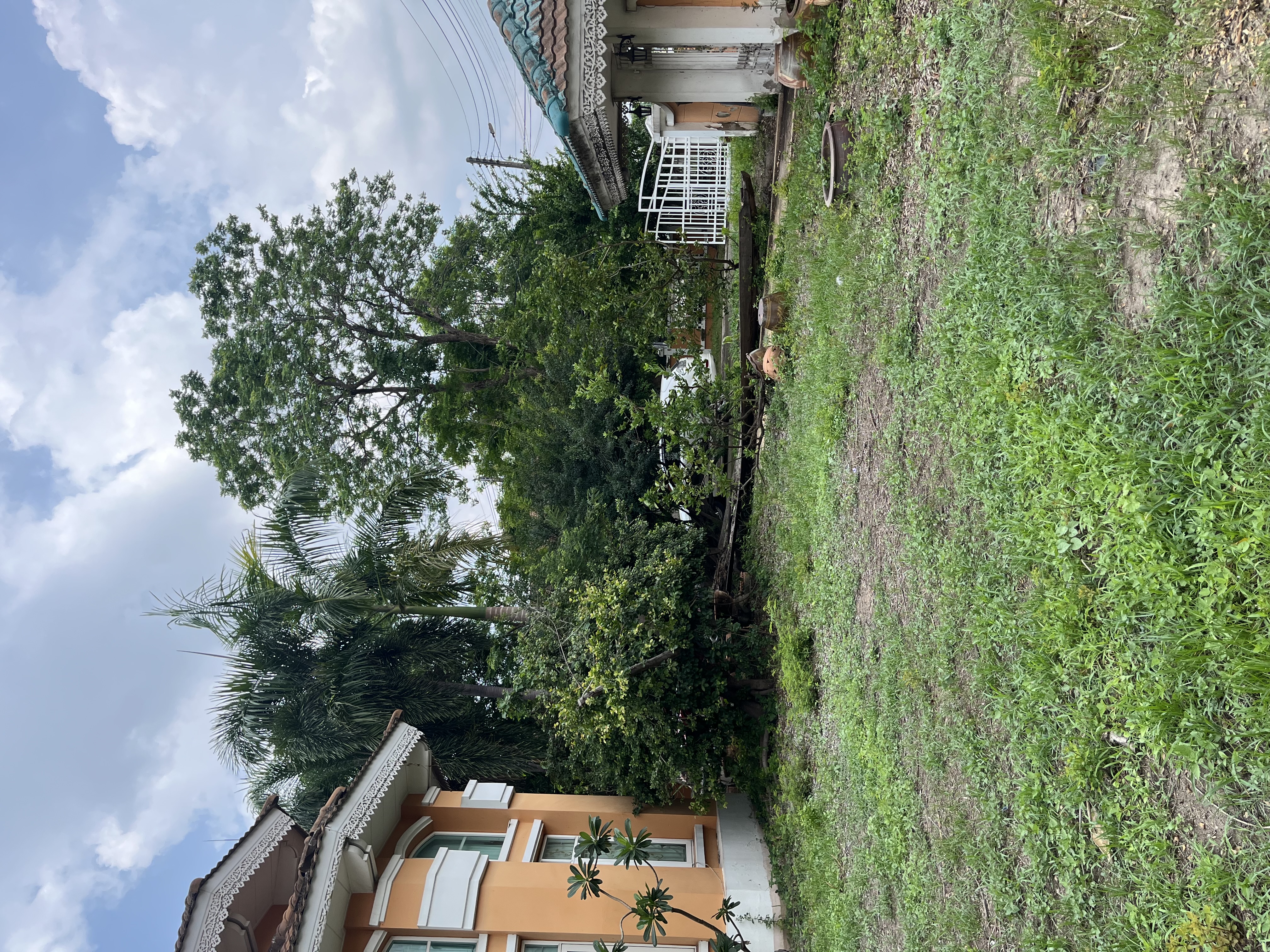 บ้านพร้อมที่ดิน 330 ตรว. แปลงใหญ่หายากในหมู่บ้านธัญธานี โฮม ออนกรีน ติดสนามกอล์ฟ เหมาะกับครอบครัวใหญ่ทำพู หรือสายเรนโนเวททำกำไร 17.9 ล้านบาท รา 4