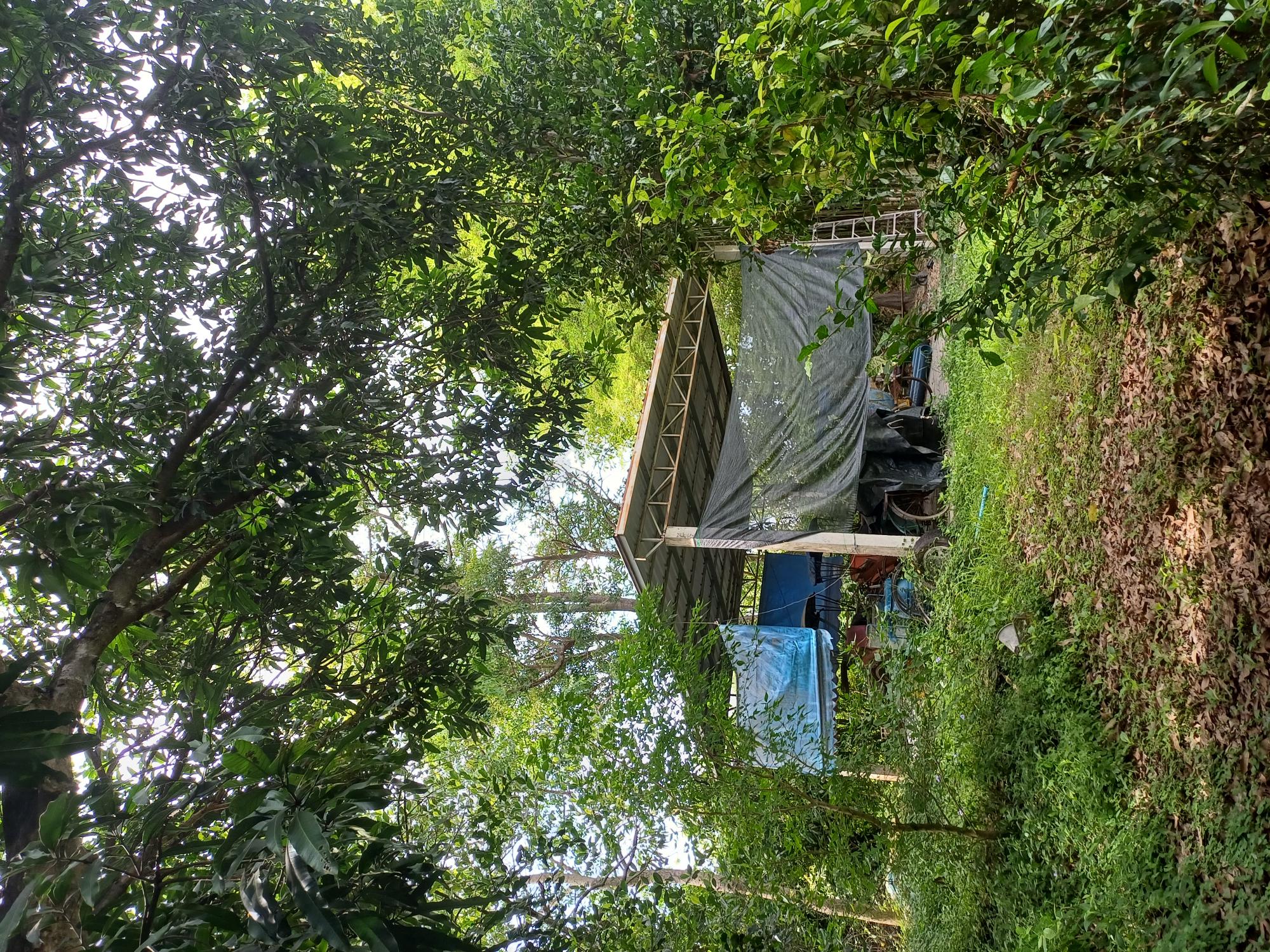 ขายที่ดินสวนเกษตรพร้อม บ้าน 3 หลัง 10