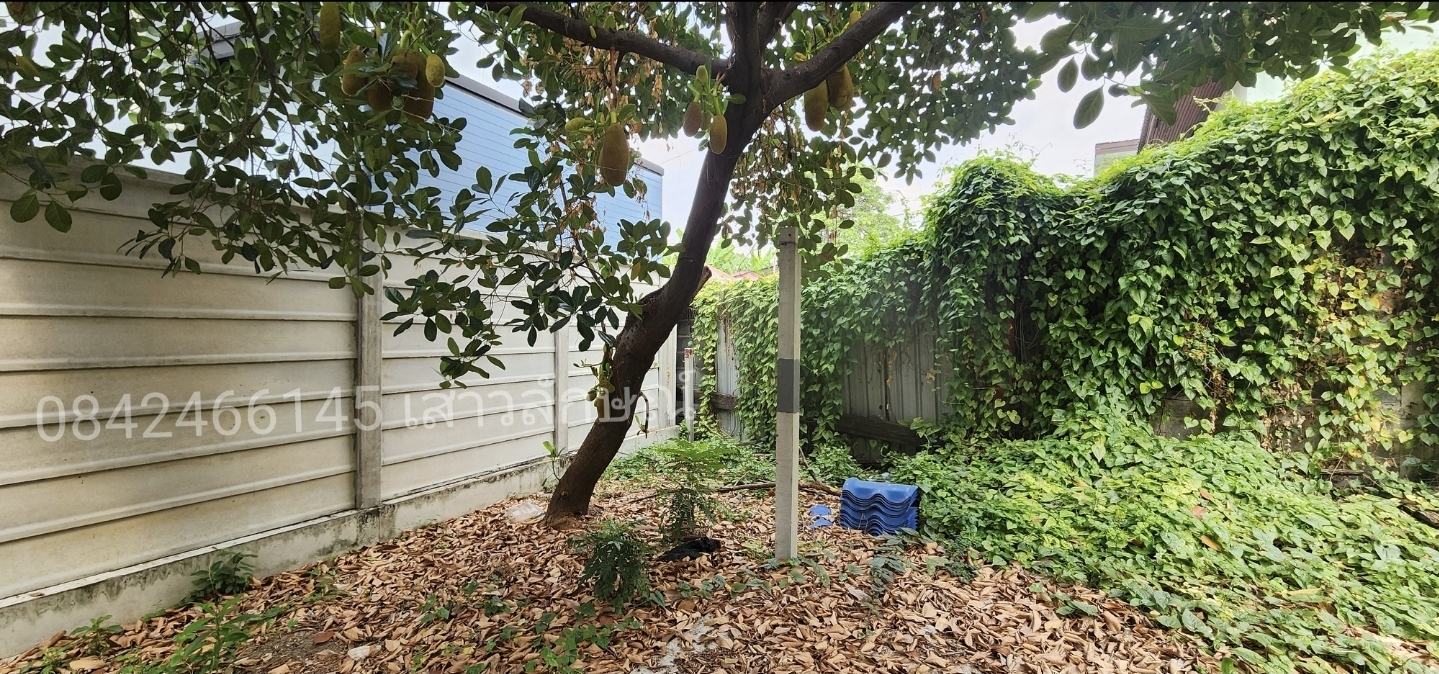 ขายบ้านเดี่ยว ชั้นเดียว ลาดพร้าว101 แยก 46 ราคาดีมาก ต่อรองได้ 4