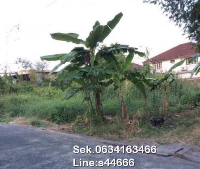 ที่ดินซอยนวมินทร์ 88 6