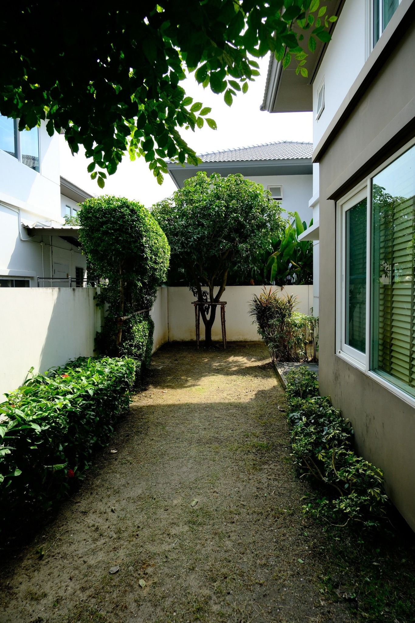 บ้านเดี่ยว บางใหญ่ 3 ห้องนอน 3 ห้องน้ำ 2 ที่จอดรถ 7