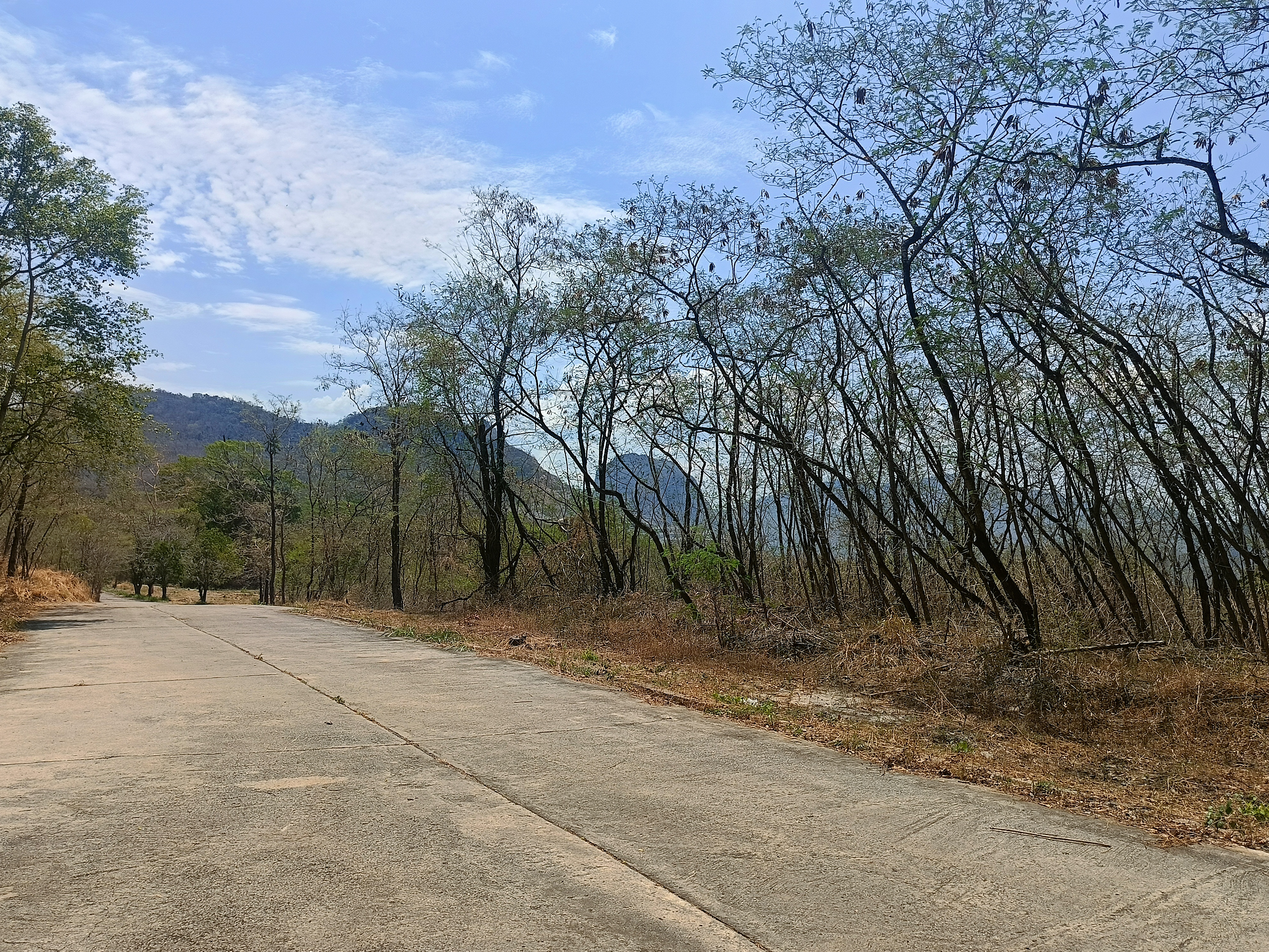 ขายที่ดิน อ.มวกเหล็ก 296 ตร.วา 3