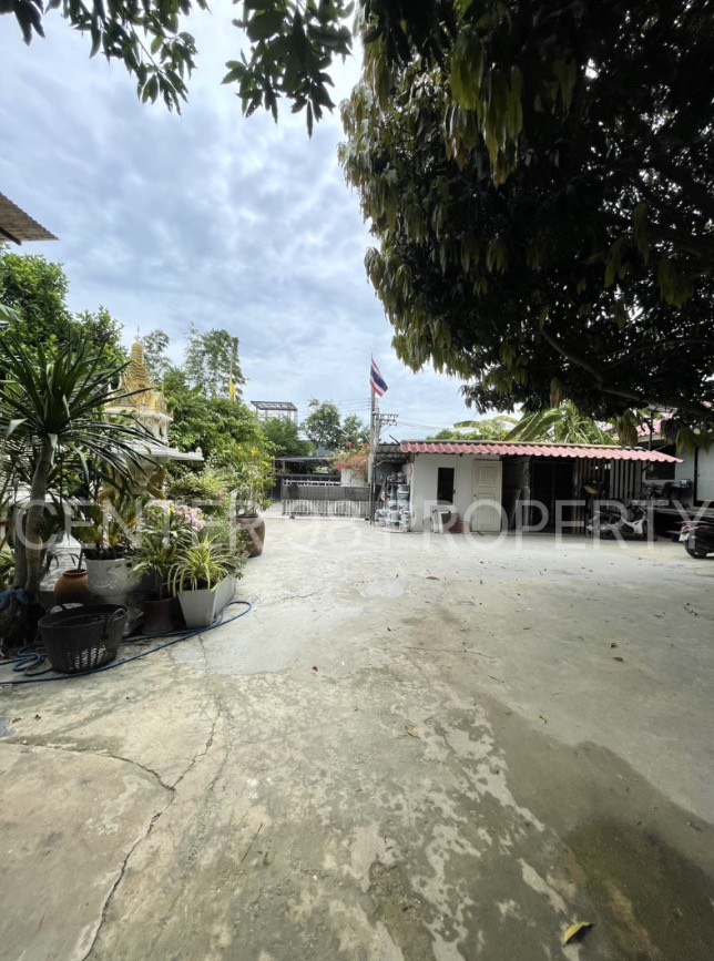ขายบ้านเดี่ยวชั้นเดียวพร้อมบ้านพักโซนบางใหญ่ - บางเเม่นาง 15