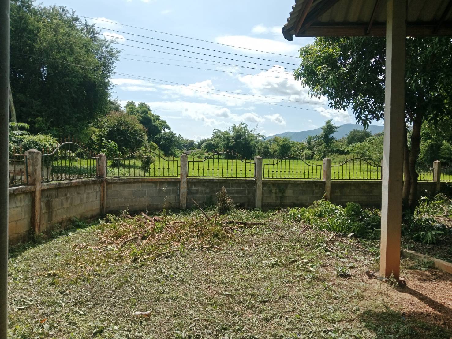 ที่ดิน ตำบลป่าสัก อำเภอวังชิ้น จังหวัดแพร่ 4