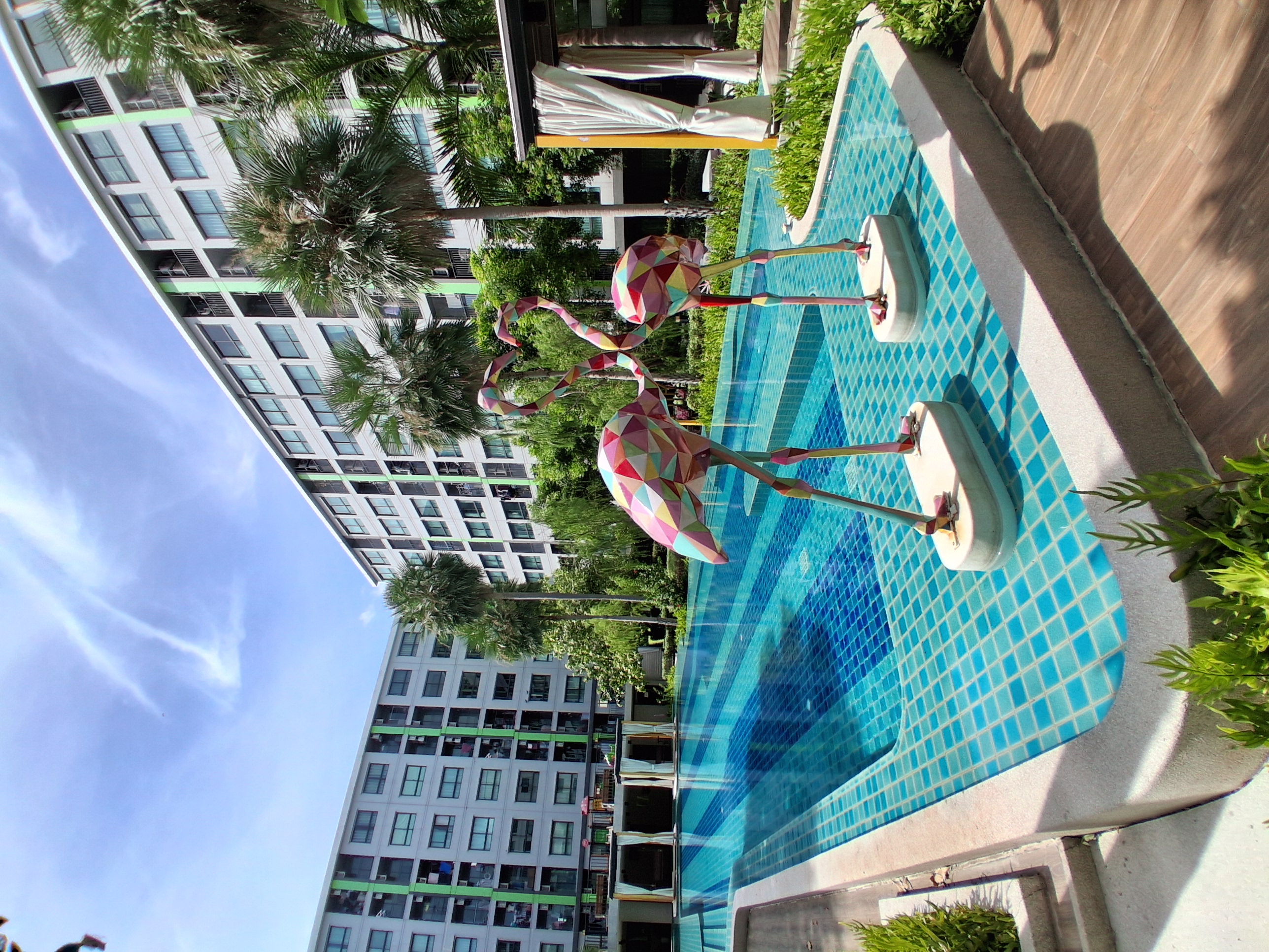 ให้เช่า กรีเน่คอนโด ดอนเมืองสรงประภา วิวสระ 34sq.m.9,500 15