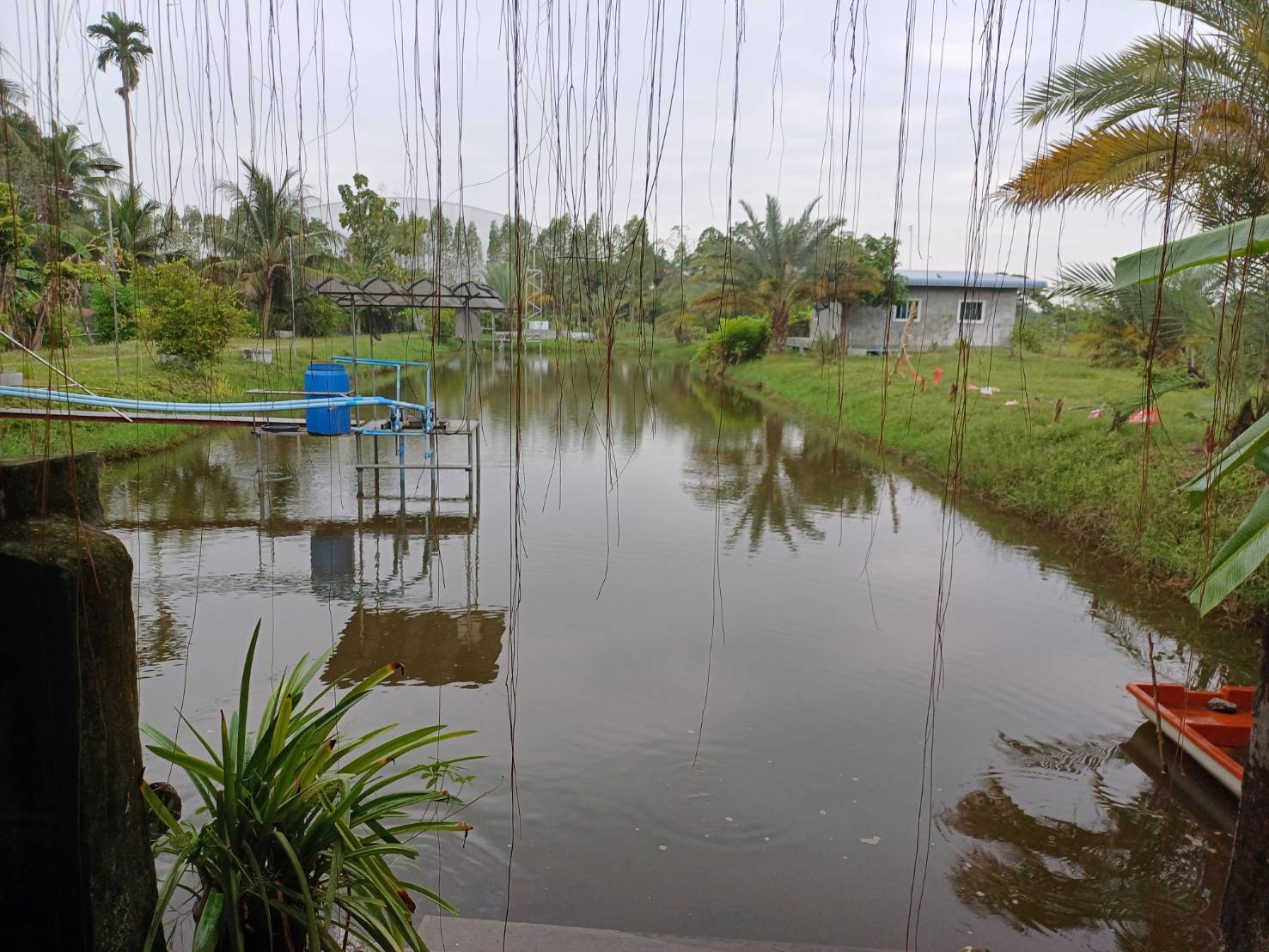 ขายที่ดิน อ.บ้านโป่ง  จ. ราชบุรี 6 ไร่ พร้อมบ้าน 3 หลัง 17