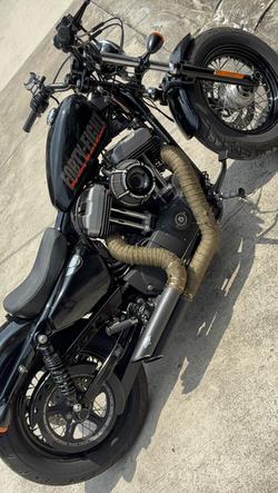 Sporter48 2015 Harley
