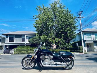 Harley Davidson VRod muscle 2012