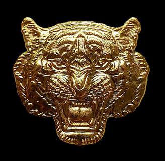 เหรียญหน้าเสือ หลวงพ่อพัฒน์ รุ่น พยัคฆ์๕แผ่นดิน วัดธารทหาร(ห้วยด้วน) รูปที่ 1