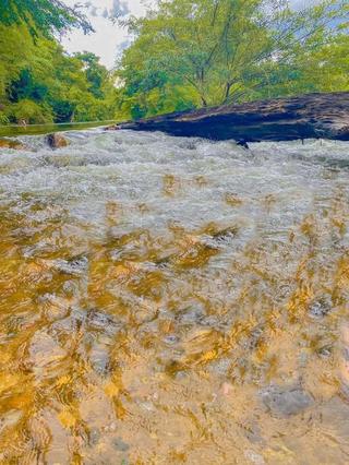 ที่ดินรีสอร์ท ติดแม่น้ำ มีน้ำตลอดปี จ.เพชรบุรี รูปที่ 3