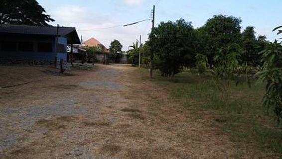 Sale Farm Fruits  among natural forest area 27,780 sqm. Chan รูปที่ 2