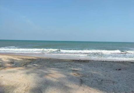 ขายที่ดินติดทะเล หาดเจ้าหลาว จันทรบุรี มีโฉนด ติดทะเลหาดส่วนตัว รูปที่ 2