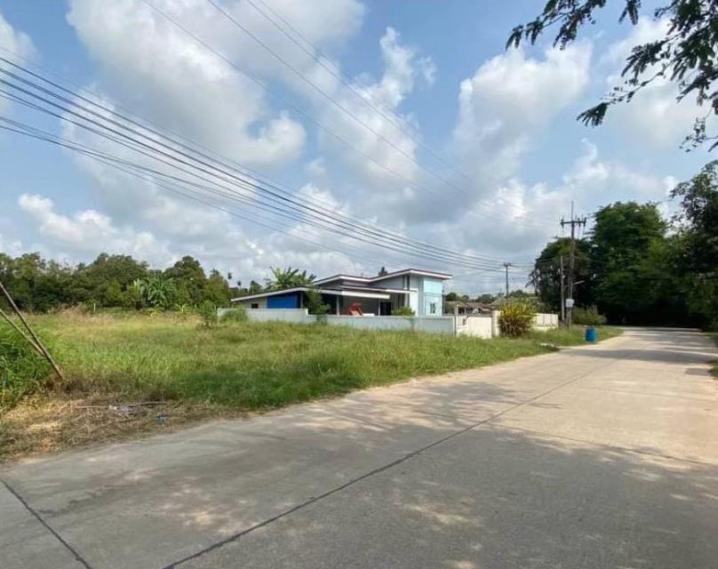 ขายที่ดินตะพงถมแล้ว 328 ตรว. ติดถนนคอนกรีตใกล้ถนนเส้นสุขุมวิท3เพียง600เมตร อ.เมืองระยอง 4