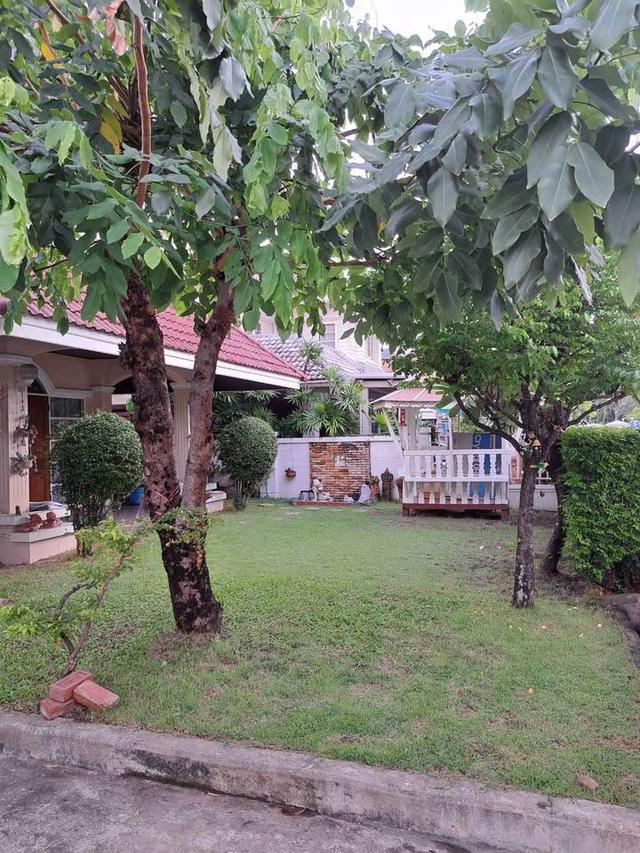 บ้านเดี่ยวหลังมุม หมู่บ้านยิ่งรวยนิเวศน์ คลองประปา เช่า ขาย 10