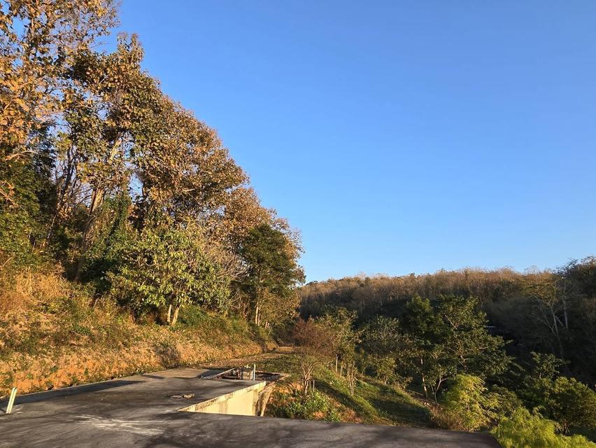 ขายที่ดินพร้อมสิ่งปลูกสร้าง ต.แม่แรม อ.แม่ริม เชียงใหม่ 3