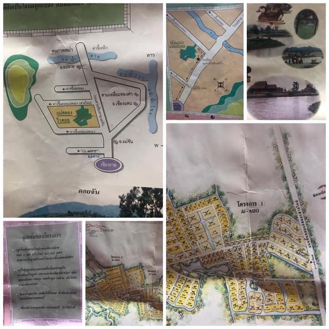 ขายที่ดินทางขึ้นดอยแม่สลอง จ. เชียงราย 3