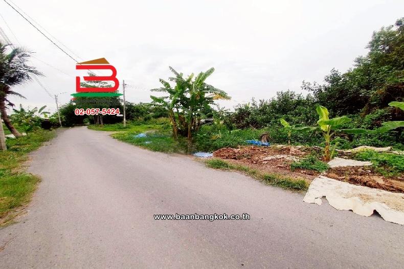 ที่ดินเปล่า ติดซอยสมหวัง เนื้อที่ 357 ตร.ว แขวงเจียระดับ เขตหนองจอก(เจียระดับ) กรุงเทพมหานคร 9